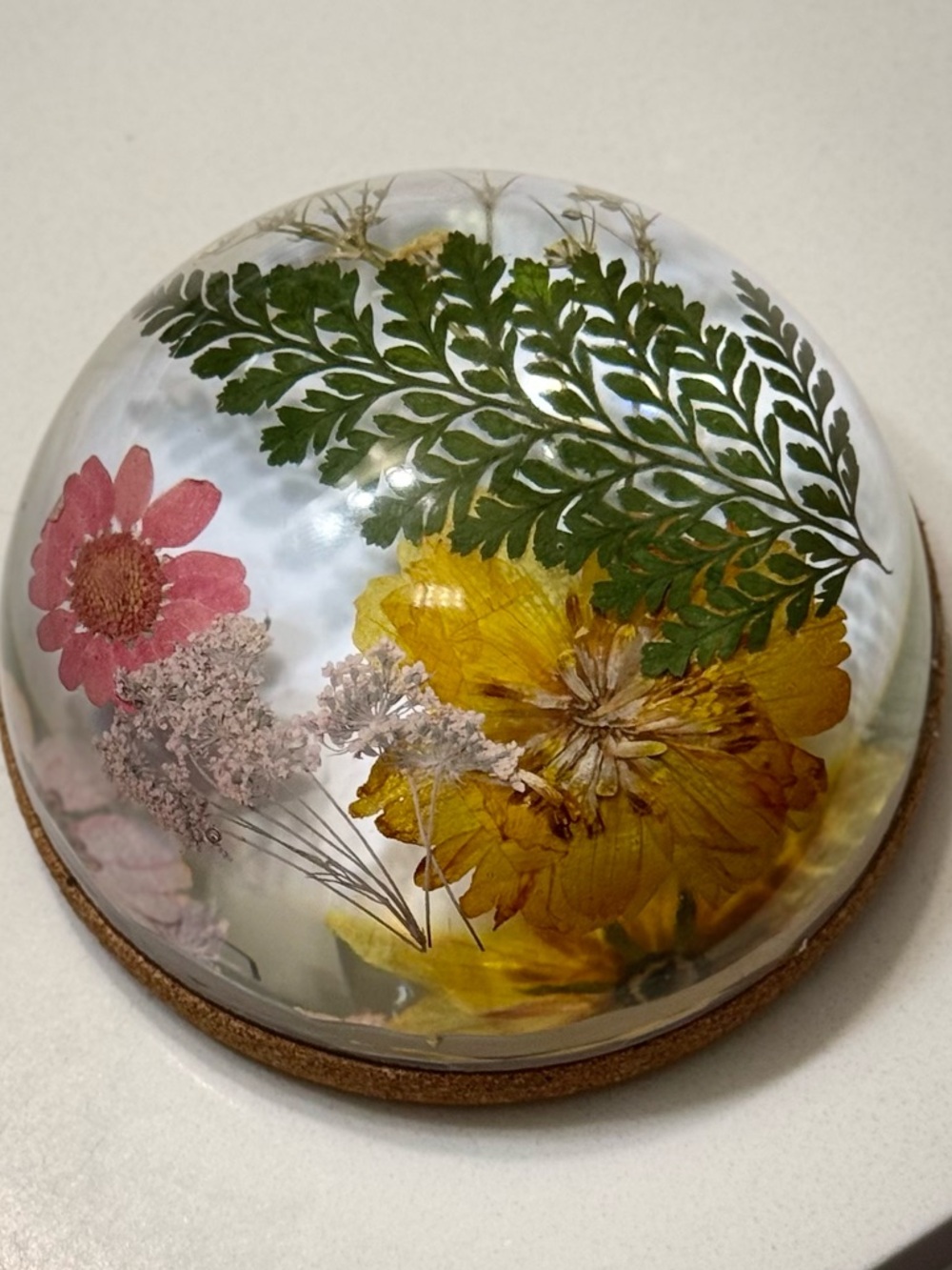 Beautiful Dried Botanical Flower Resin Dome Paperweight w Cork Base-Retro Decor